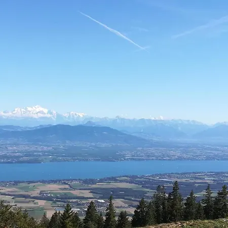 Entre Et Montagne Apartment Gex